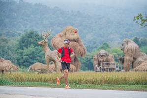 BIB: 
                            <button type="button" onclick="openModal(22305398)" class="btn btn-primary btn-sm float-right btn-popup" data-toggle="modal" data-target=".modal-high-quality">
                        <i class="fas fa-shopping-cart"></i> Add to Cart
                    </button>
                                            <button type="button" onclick="isThisMe(22305398, true)" class="btn btn-success btn-sm float-right btn-popup btn-isme hidden" data-toggle="tooltip" data-placement="bottom" title="นี่คือรูปของคุณใช่ไหม คลิกที่นี่เพื่อเอาเข้าอัลบั้ม">
                        <i class="fas fa-plus"></i> Add to album
                    </button>
                    <button type="button" onclick="isThisMe(22305398, false)" class="btn btn-warning btn-sm float-right btn-popup btn-isnotme hidden">
                        <i class="fas fa-ban"></i> Remove from album
                    </button>